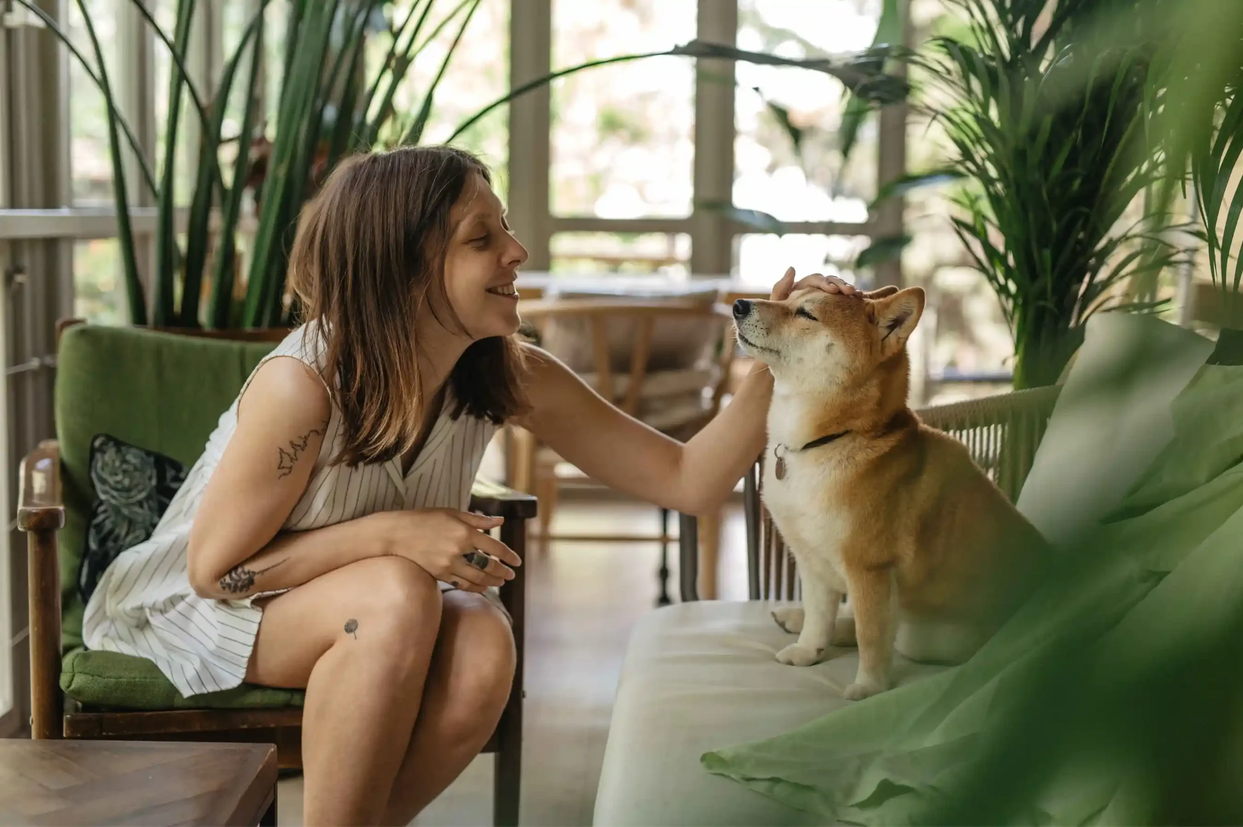 Kediler ve Köpeklerde Nörolojik Hastalıklar: Erken Tanı ve Tedavi Yöntemleri