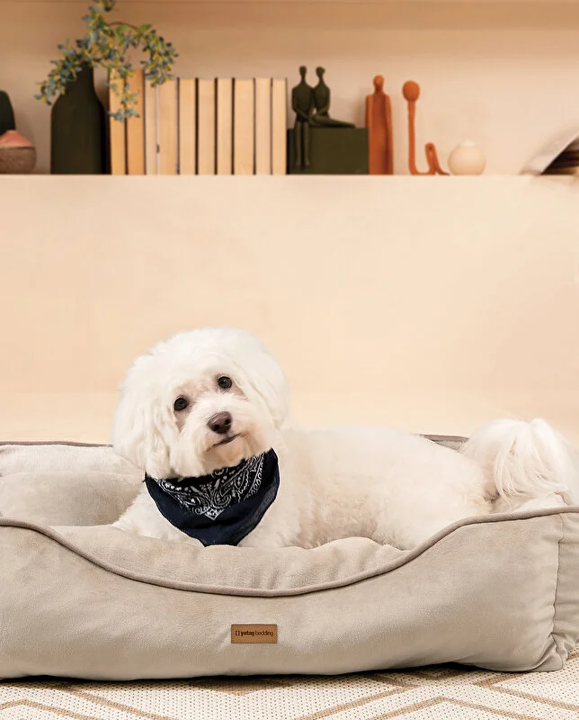 Petshop Malzemelerinin Hayvan Sağlığına Etkisi