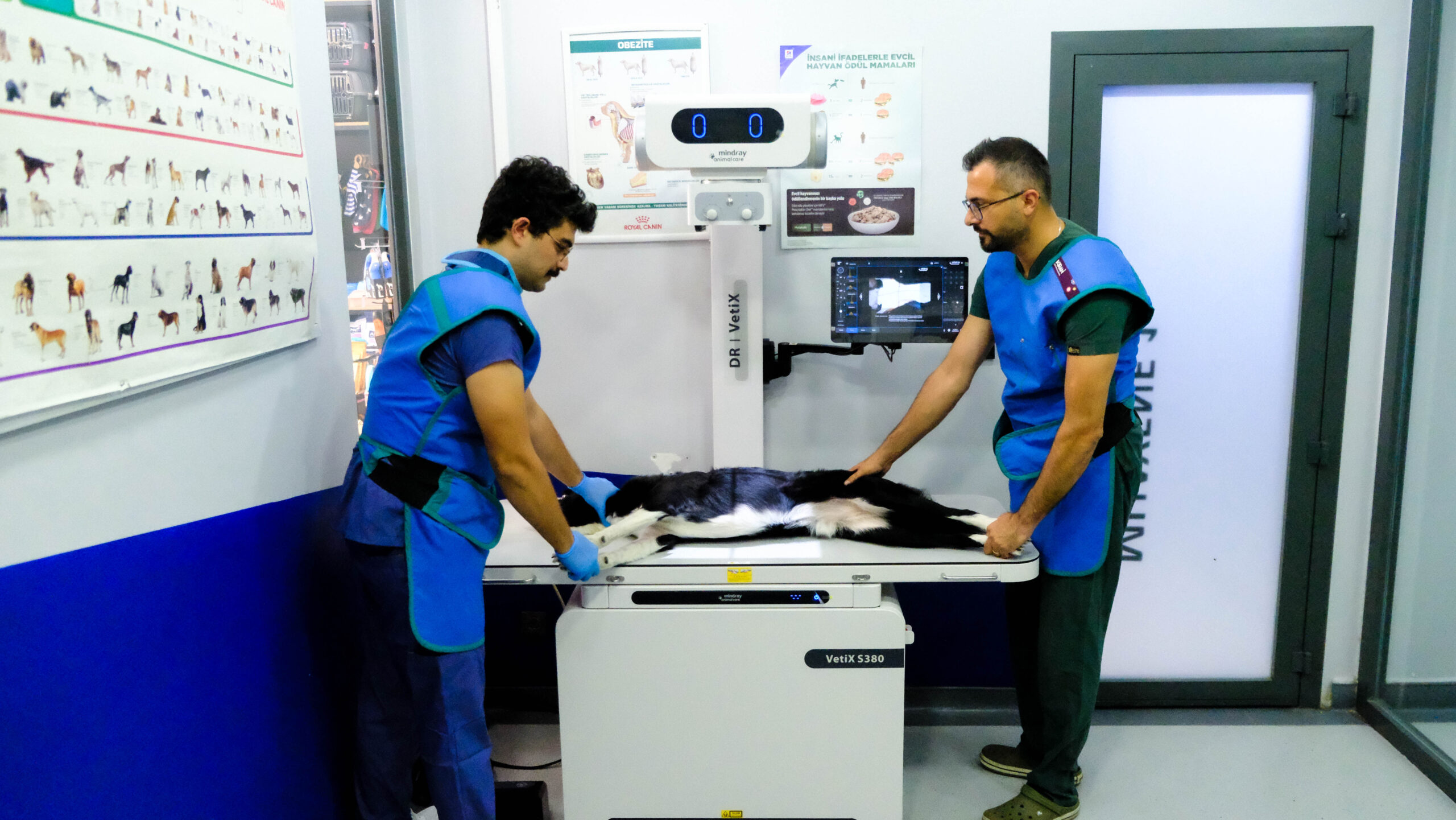 Ataşehir Veteriner DR Görüntüleme Sistemi