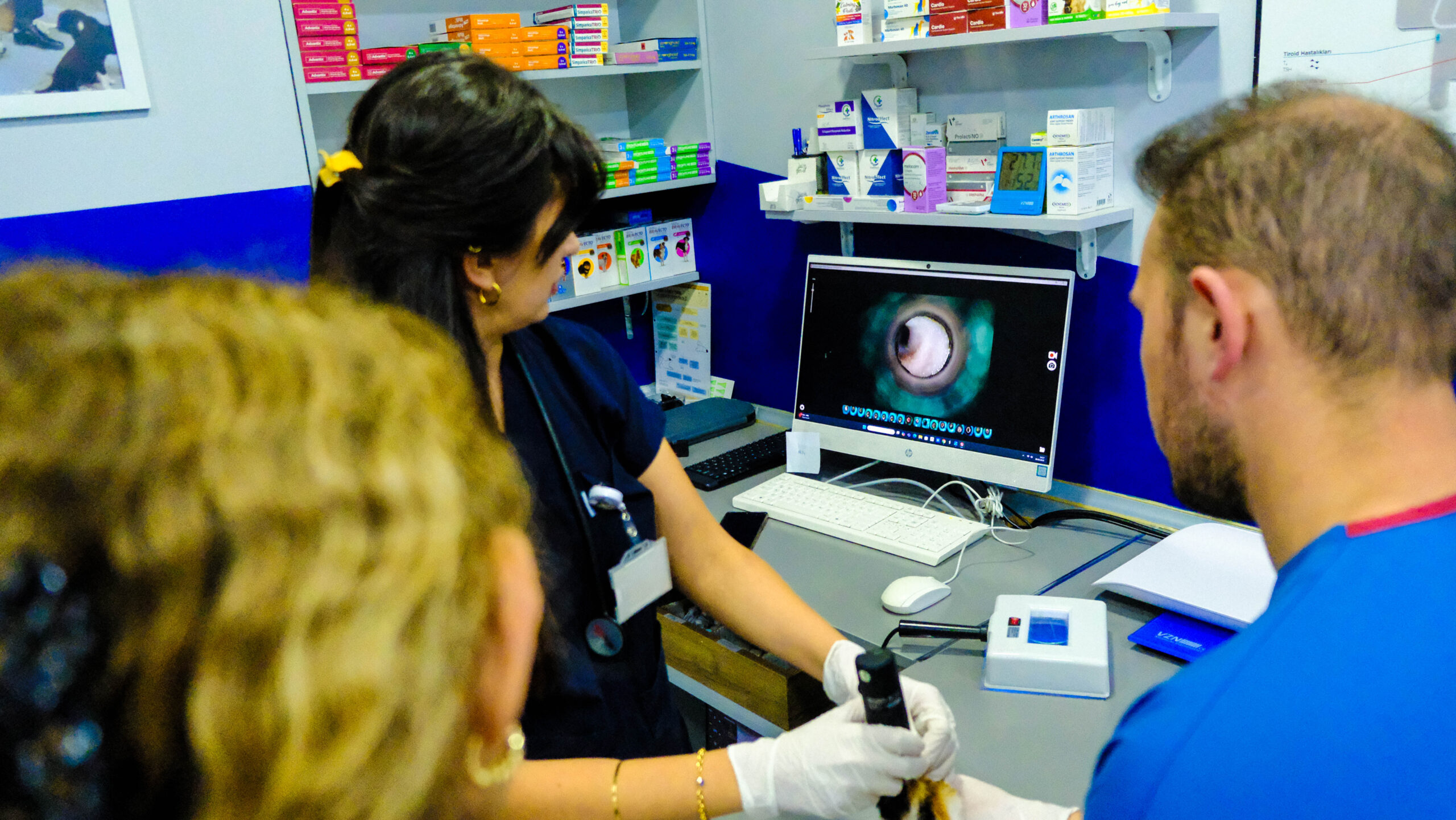 Ataşehir Veteriner Kliniği Ultrason Hizmetleri