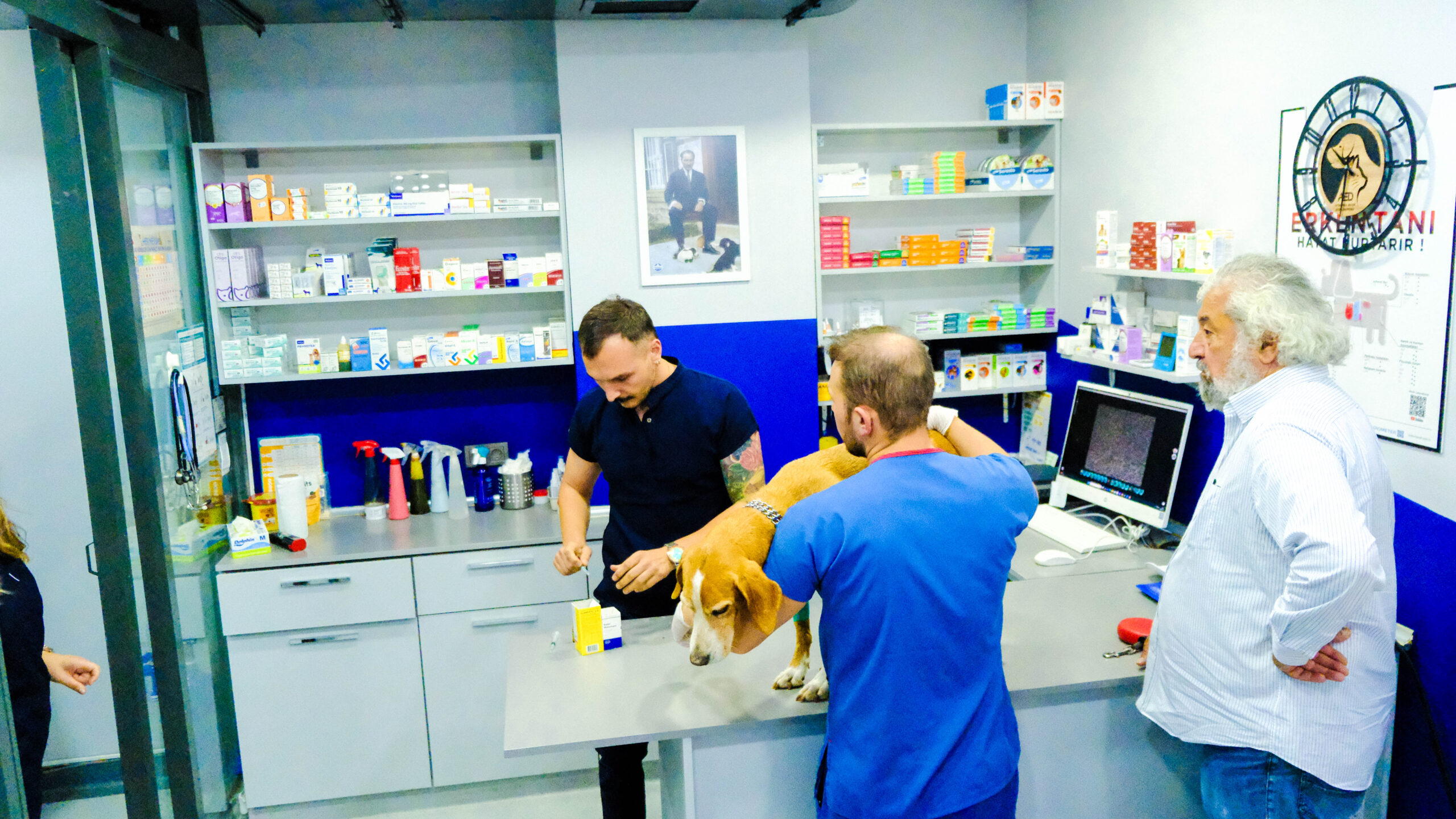 Ataşehir Veteriner Kliniği ile Lokal Anestezi Uygulamaları