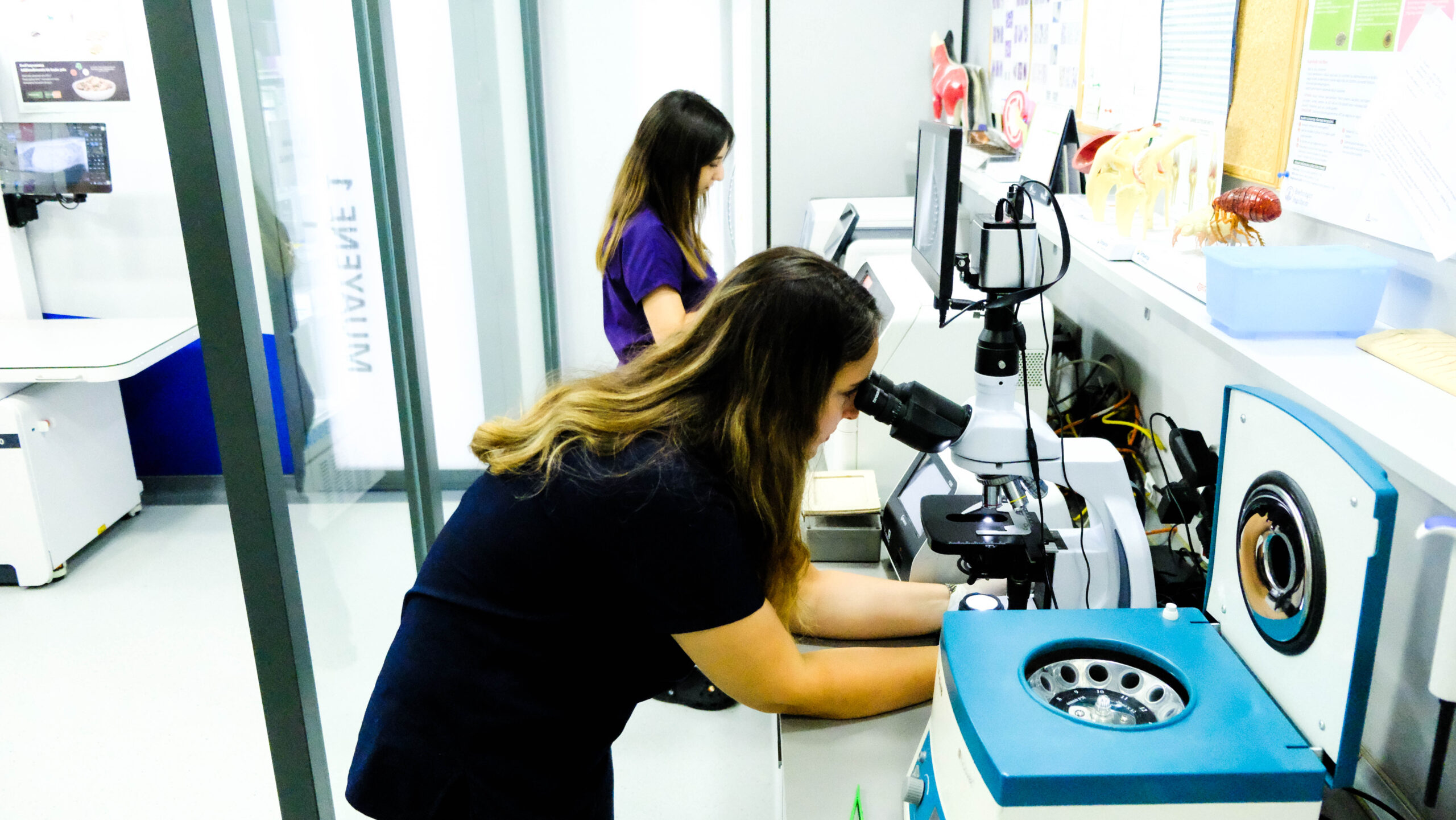 Ataşehir Hızlı Test Tipleri