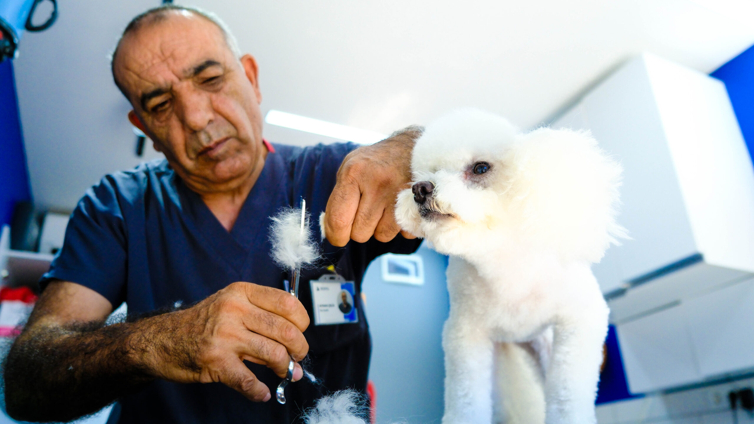 Ataşehir Köpek Tıraşı